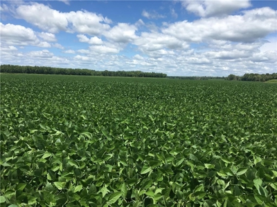 1,341+/- Acres, Excellent Row Crop Bottom, Chillicothe MO - image 27