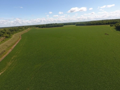 1,341+/- Acres, Excellent Row Crop Bottom, Chillicothe MO - image 40