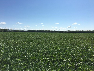 1,341+/- Acres, Excellent Row Crop Bottom, Chillicothe MO - image 33