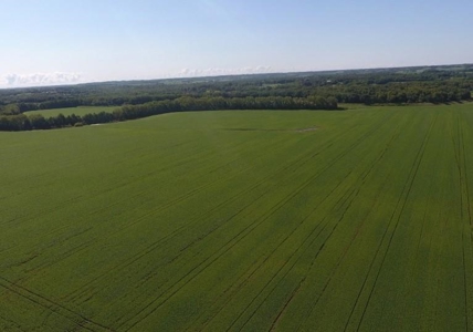 1,341+/- Acres, Excellent Row Crop Bottom, Chillicothe MO - image 30