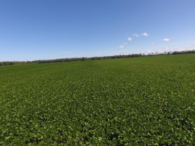 1,341+/- Acres, Excellent Row Crop Bottom, Chillicothe MO - image 29