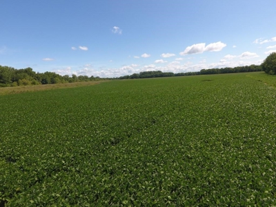 1,341+/- Acres, Excellent Row Crop Bottom, Chillicothe MO - image 37