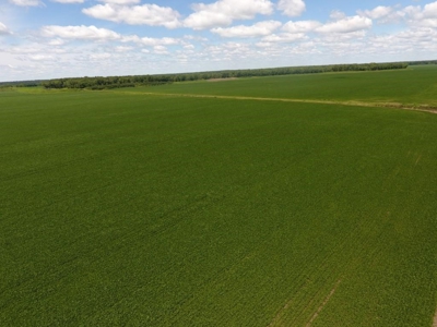 1,341+/- Acres, Excellent Row Crop Bottom, Chillicothe MO - image 12