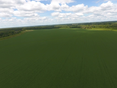 1,341+/- Acres, Excellent Row Crop Bottom, Chillicothe MO - image 3