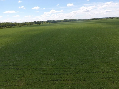 1,341+/- Acres, Excellent Row Crop Bottom, Chillicothe MO - image 14