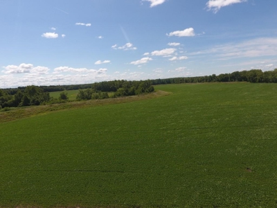 1,341+/- Acres, Excellent Row Crop Bottom, Chillicothe MO - image 41