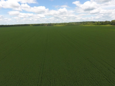 1,341+/- Acres, Excellent Row Crop Bottom, Chillicothe MO - image 7