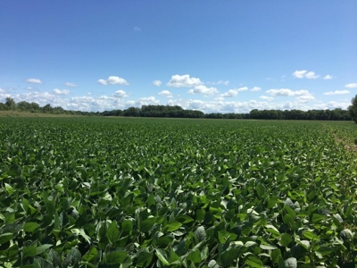 1,341+/- Acres, Excellent Row Crop Bottom, Chillicothe MO - image 35