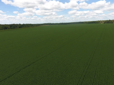 1,341+/- Acres, Excellent Row Crop Bottom, Chillicothe MO - image 4