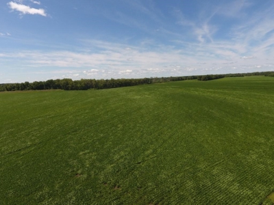 1,341+/- Acres, Excellent Row Crop Bottom, Chillicothe MO - image 43