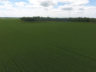 1,341+/- Acres, Excellent Row Crop Bottom, Chillicothe MO - image 24