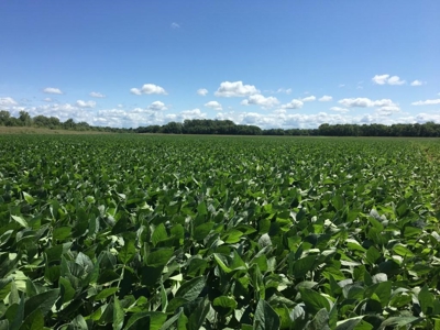 1,341+/- Acres, Excellent Row Crop Bottom, Chillicothe MO - image 34
