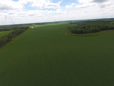 1,341+/- Acres, Excellent Row Crop Bottom, Chillicothe MO - image 10