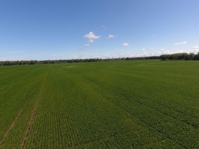 1,341+/- Acres, Excellent Row Crop Bottom, Chillicothe MO - image 36