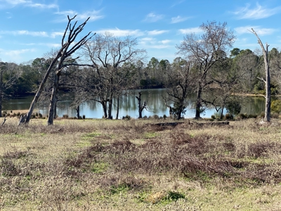 Tyler Texas Land For Sale Development Property In East Texas - image 28