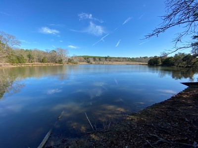 Tyler Texas Land For Sale Development Property In East Texas - image 41