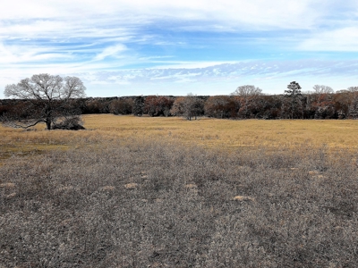 Tyler Texas Land For Sale Development Property In East Texas - image 43
