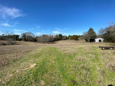 Tyler Texas Land For Sale Development Property In East Texas - image 17