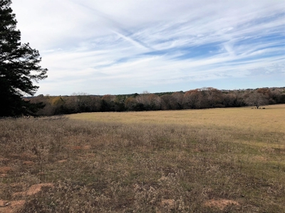 Tyler Texas Land For Sale Development Property In East Texas - image 8