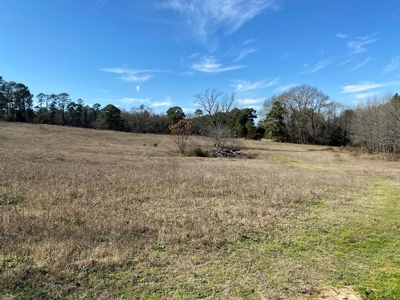 Tyler Texas Land For Sale Development Property In East Texas - image 15