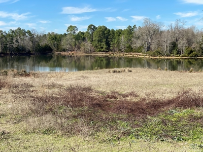 Tyler Texas Land For Sale Development Property In East Texas - image 23