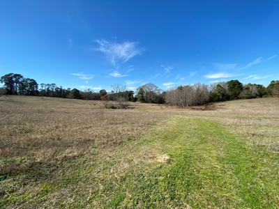 Tyler Texas Land For Sale Development Property In East Texas - image 18