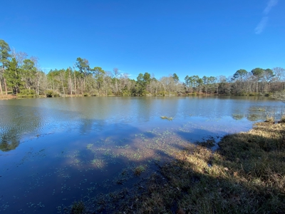 Tyler Texas Land For Sale Development Property In East Texas - image 12