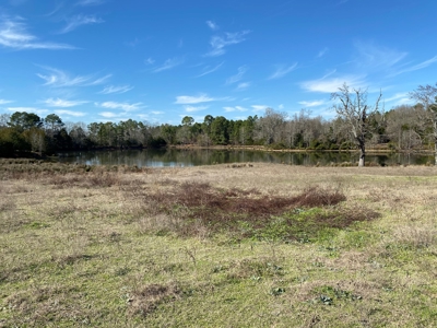 Tyler Texas Land For Sale Development Property In East Texas - image 22