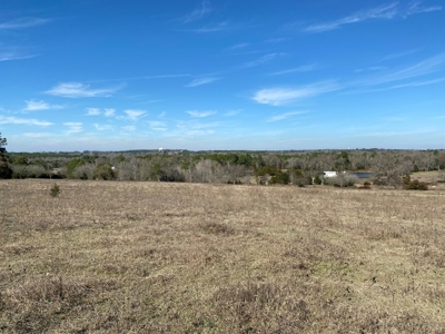 Tyler Texas Land For Sale Development Property In East Texas - image 29