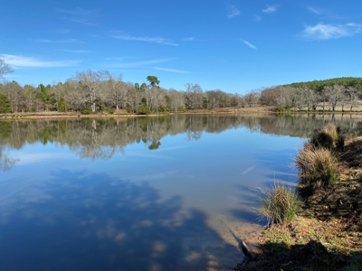 Tyler Texas Land For Sale Development Property In East Texas - image 38