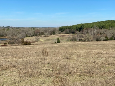 Tyler Texas Land For Sale Development Property In East Texas - image 32