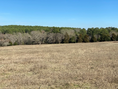 Tyler Texas Land For Sale Development Property In East Texas - image 35