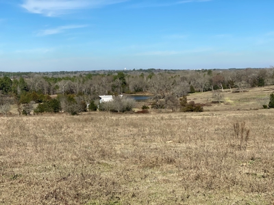 Tyler Texas Land For Sale Development Property In East Texas - image 33