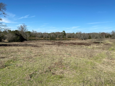 Tyler Texas Land For Sale Development Property In East Texas - image 19