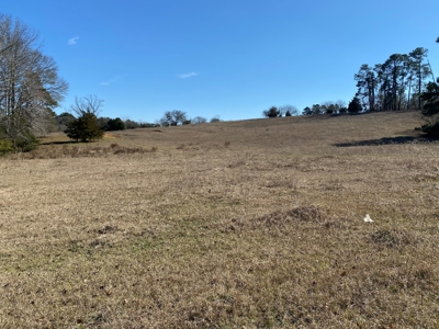 Tyler Texas Land For Sale Development Property In East Texas - image 13