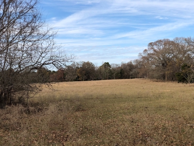 Tyler Texas Land For Sale Development Property In East Texas - image 4