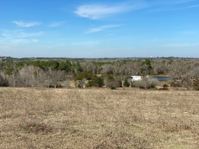 Tyler Texas Land For Sale Development Property In East Texas - image 31