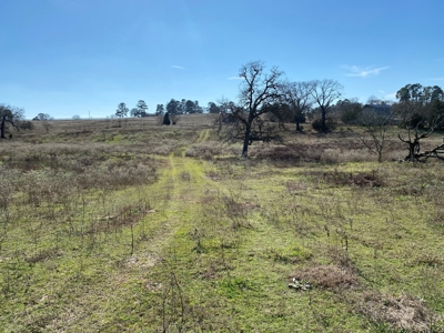 Tyler Texas Land For Sale Development Property In East Texas - image 24