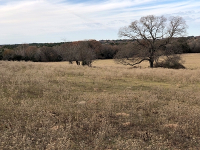 Tyler Texas Land For Sale Development Property In East Texas - image 9