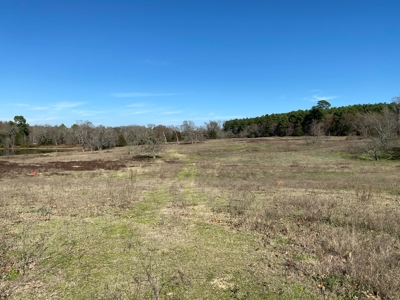 Tyler Texas Land For Sale Development Property In East Texas - image 20