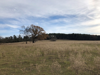 Tyler Texas Land For Sale Development Property In East Texas - image 45