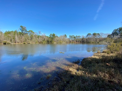 Tyler Texas Land For Sale Development Property In East Texas - image 10