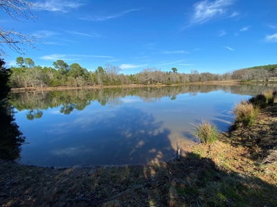 Tyler Texas Land For Sale Development Property In East Texas - image 39