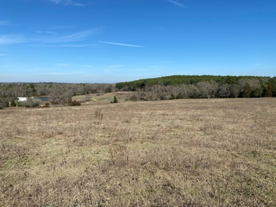 Tyler Texas Land For Sale Development Property In East Texas - image 30