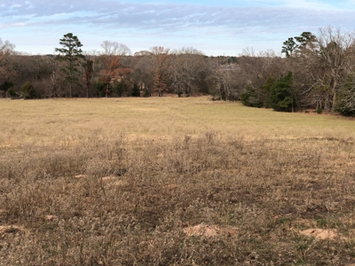 Tyler Texas Land For Sale Development Property In East Texas - image 5