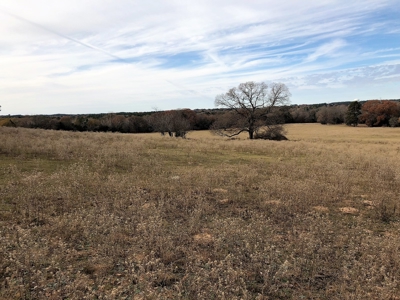 Tyler Texas Land For Sale Development Property In East Texas - image 44