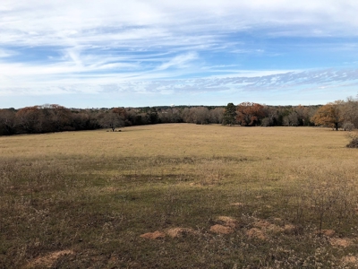 Tyler Texas Land For Sale Development Property In East Texas - image 7