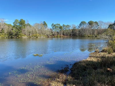 Tyler Texas Land For Sale Development Property In East Texas - image 11