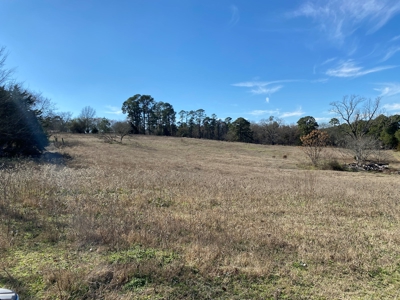 Tyler Texas Land For Sale Development Property In East Texas - image 16