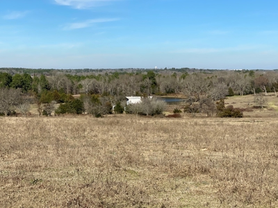 Tyler Texas Land For Sale Development Property In East Texas - image 36